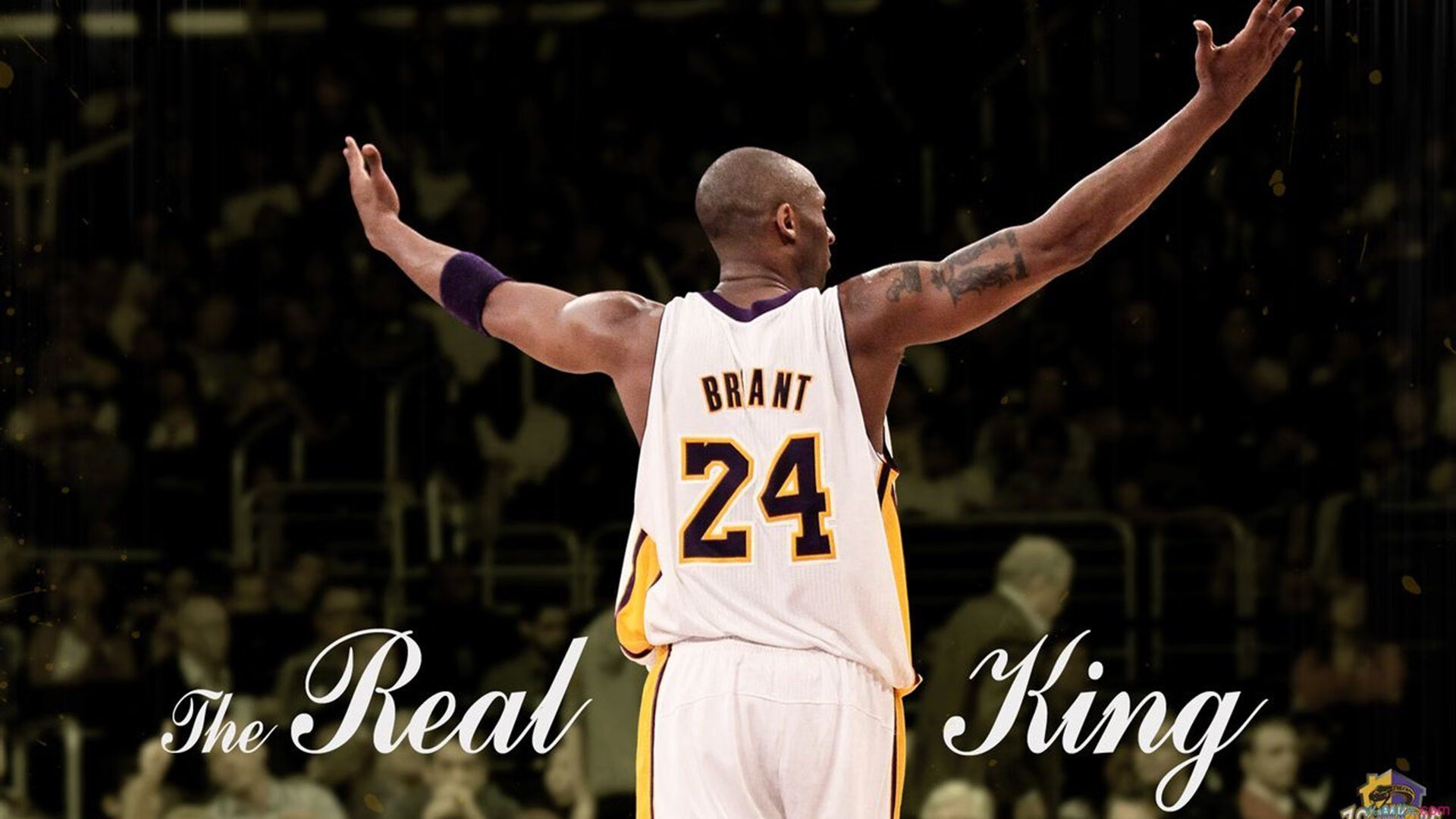 历史人物:NBA史上最具影响力的球员,nba历史最伟大球员